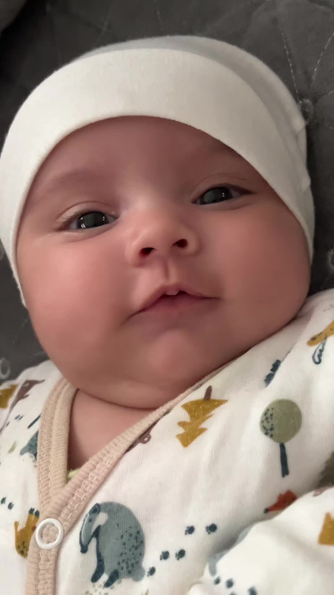 @Zeynoş-İnci