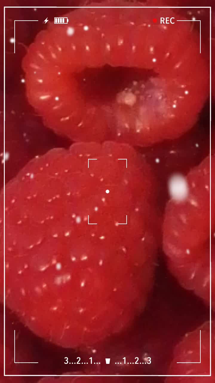 @ahmed.822