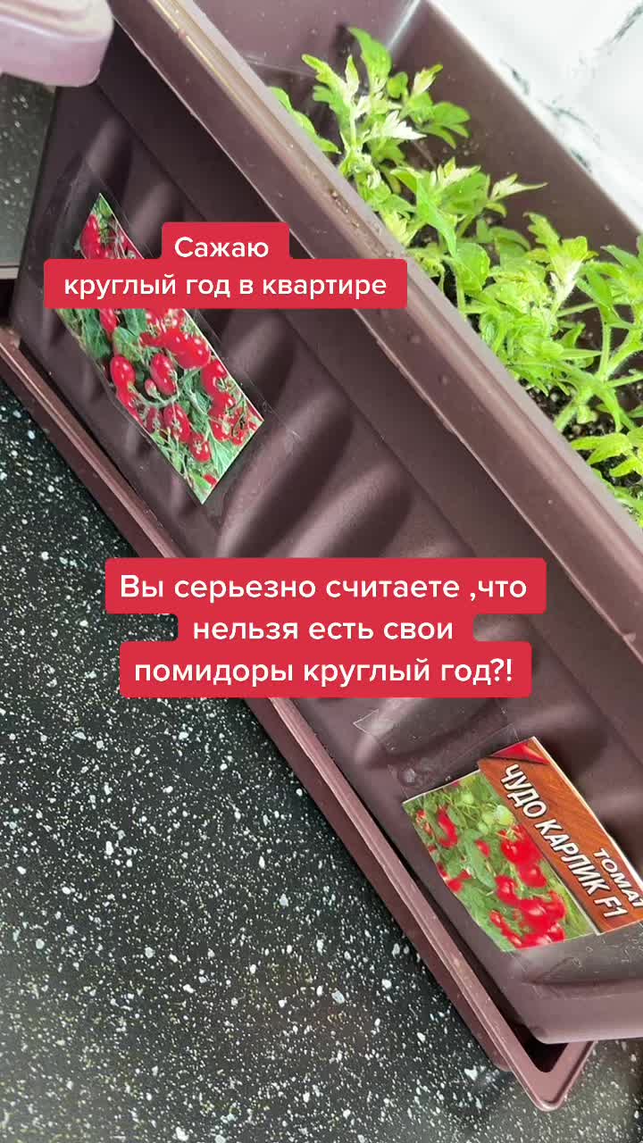 @Елена 🌱 Рай можно купить