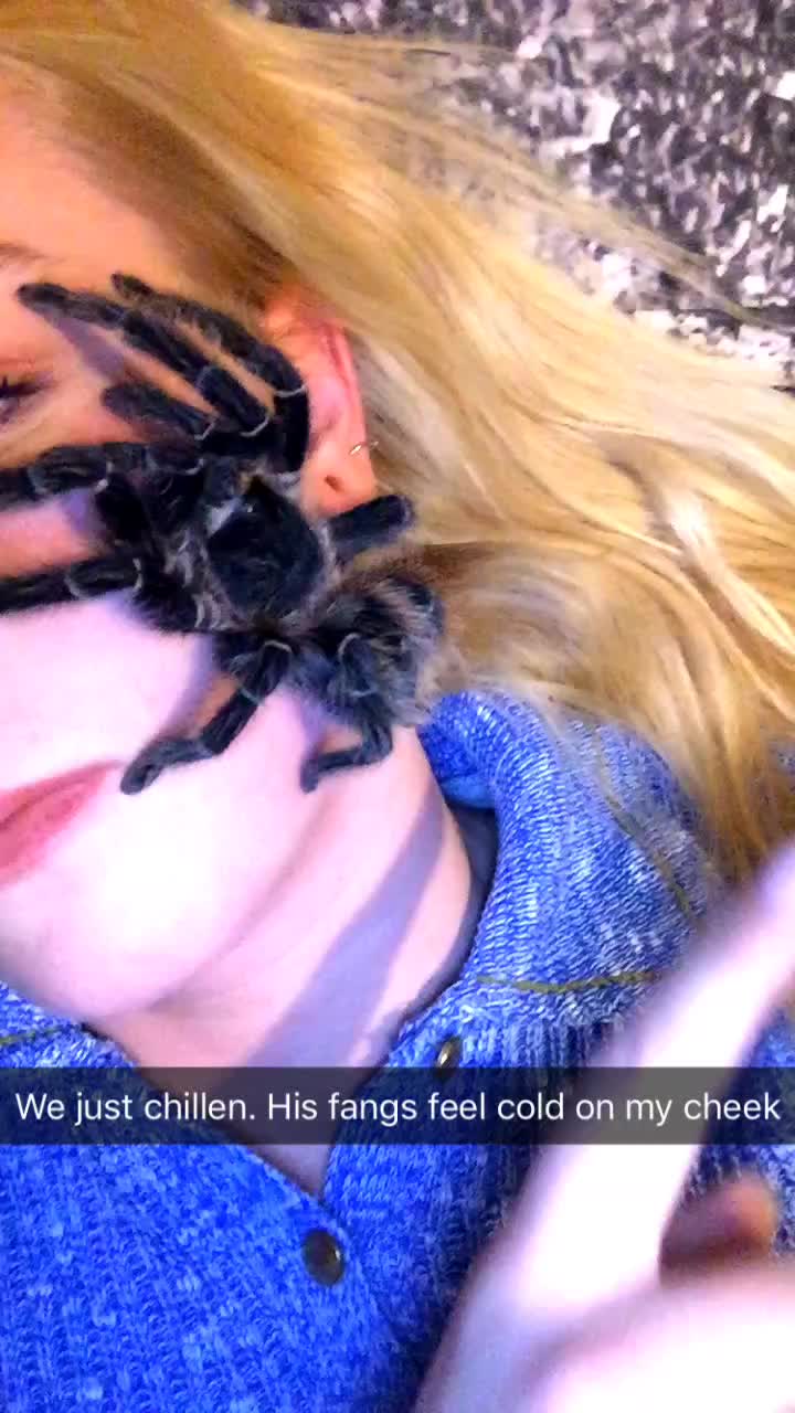 @ShellBee