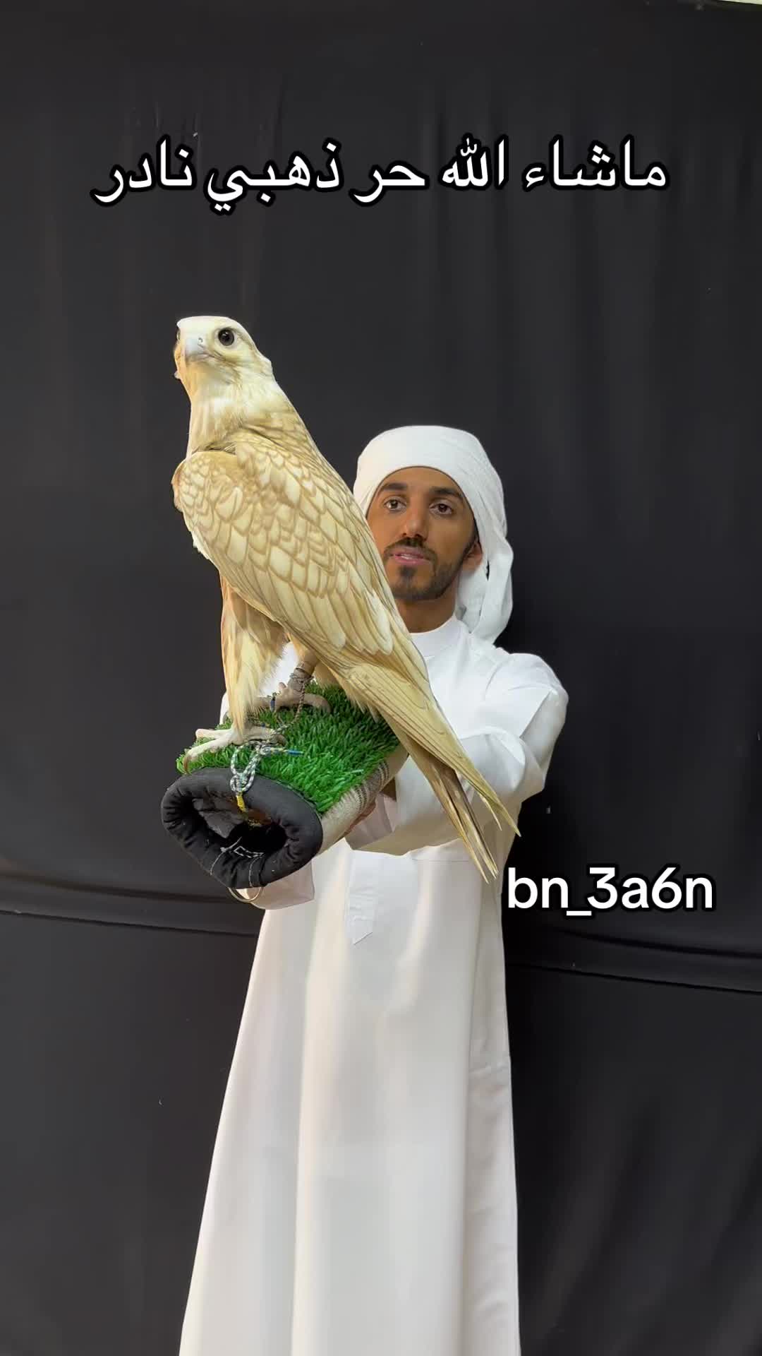 @محمد بن عاطن🦅