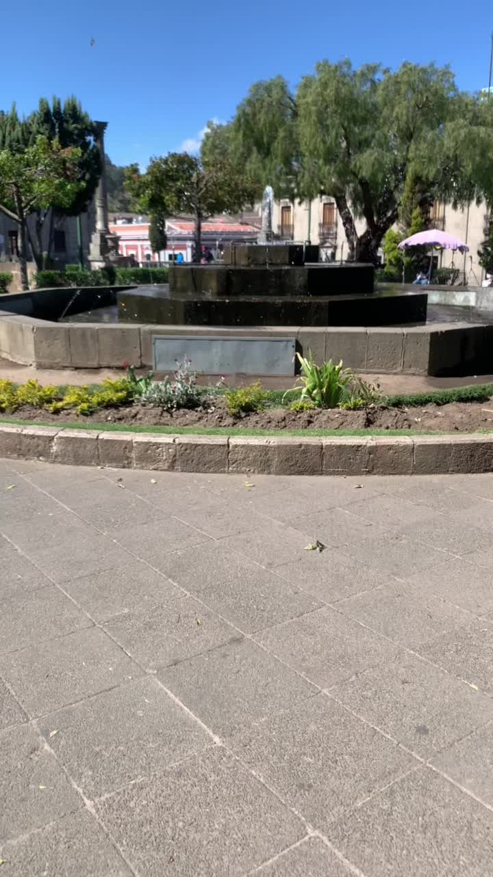 @Michael Gómez