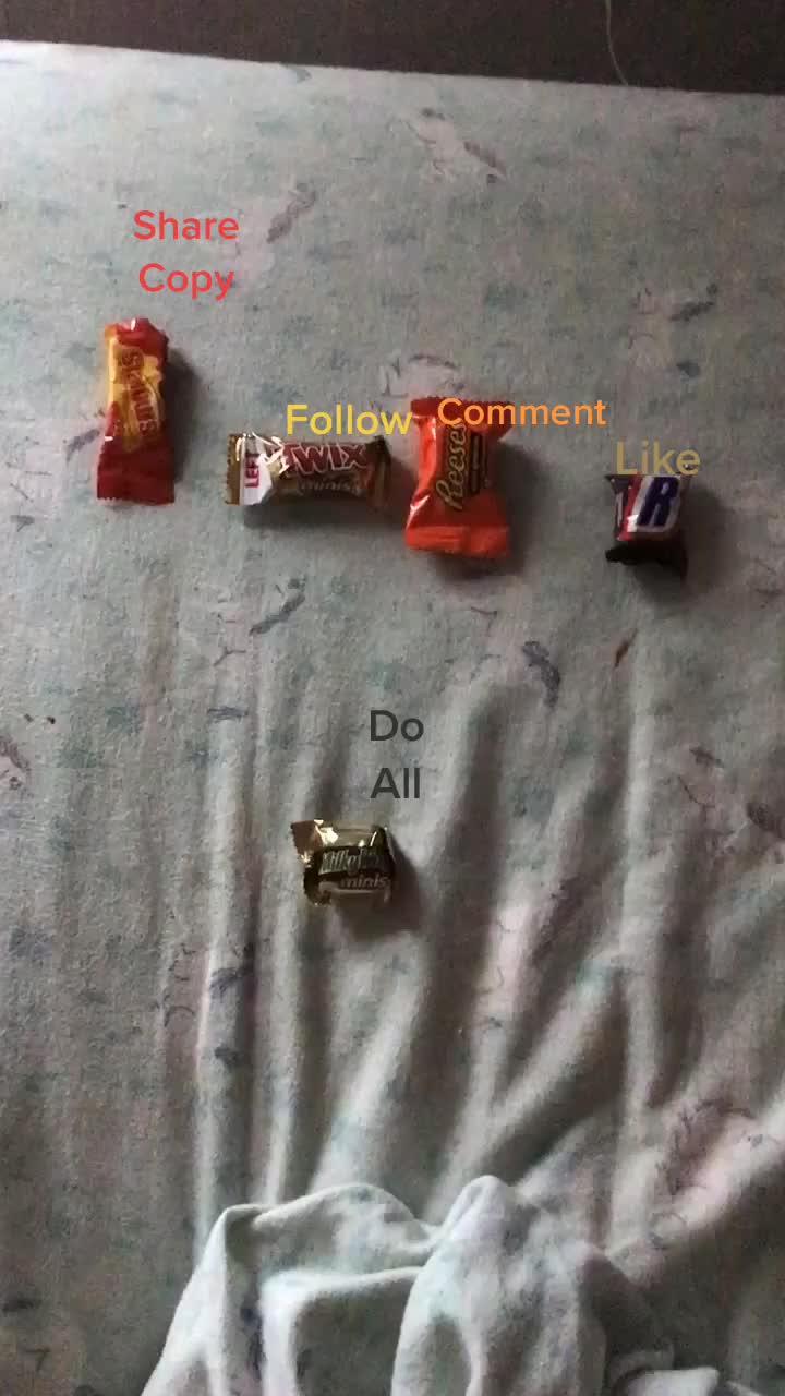 @avallone3855