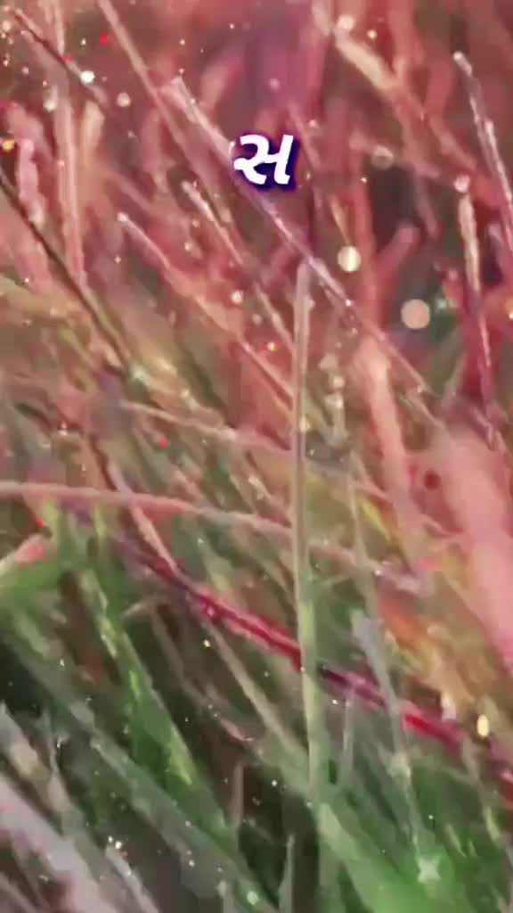 @user7918753423686