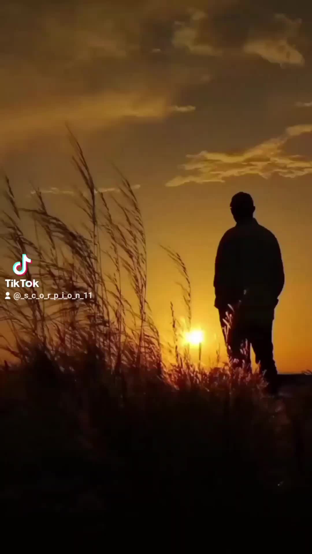 @&tilde;&rdquo;*&deg;★𝓝𝓘𝓚𝓞𝓛𝓐𝓨★&deg;*&rdquo;&tilde;