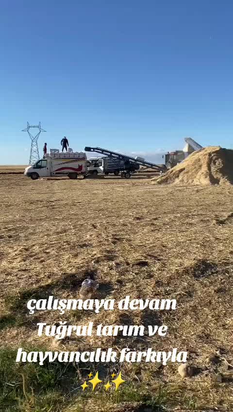 @Mehmet Yalçın Tuğrul