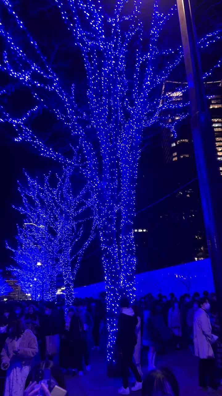 @ポコポコんぶ