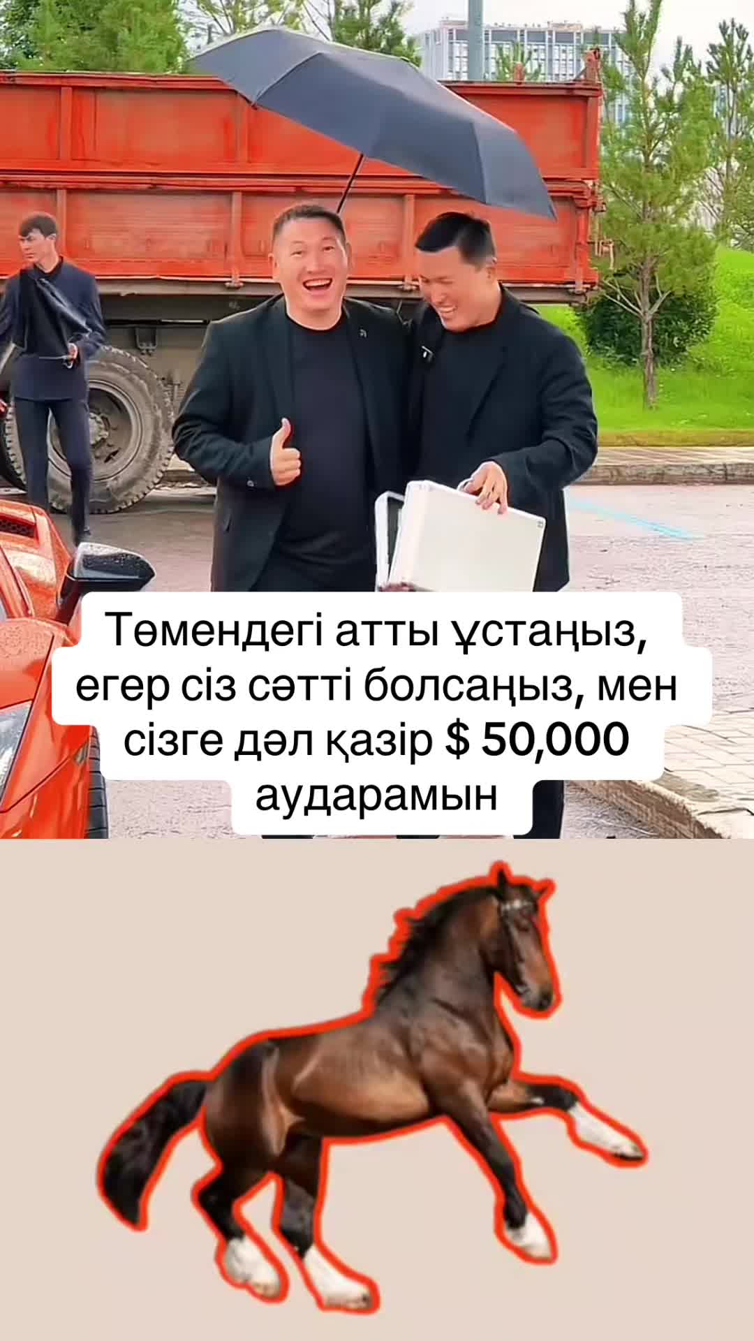 @ҚанатСарсенбек жеке кәсіпкер