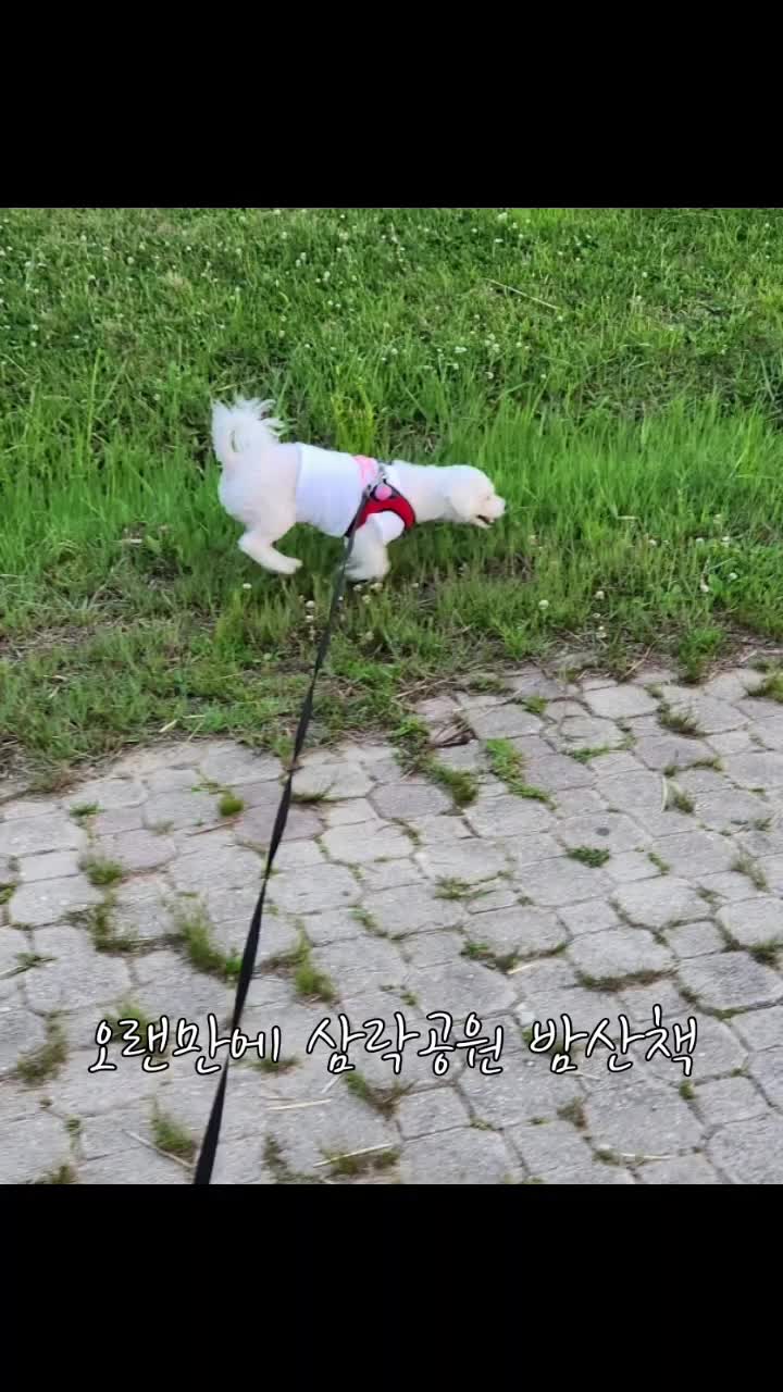 @특별한그녀♡