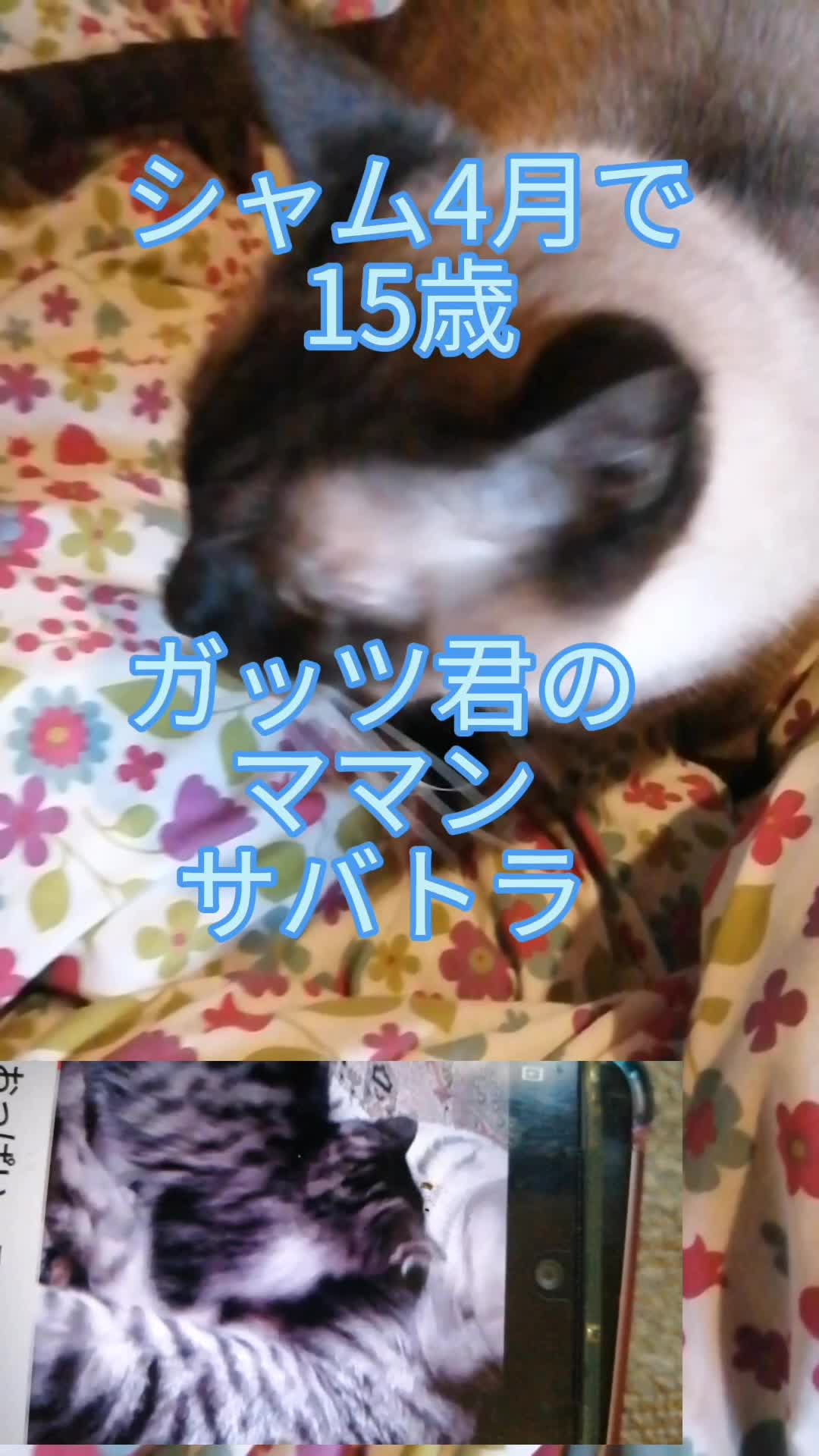 @睡眠プロデュース