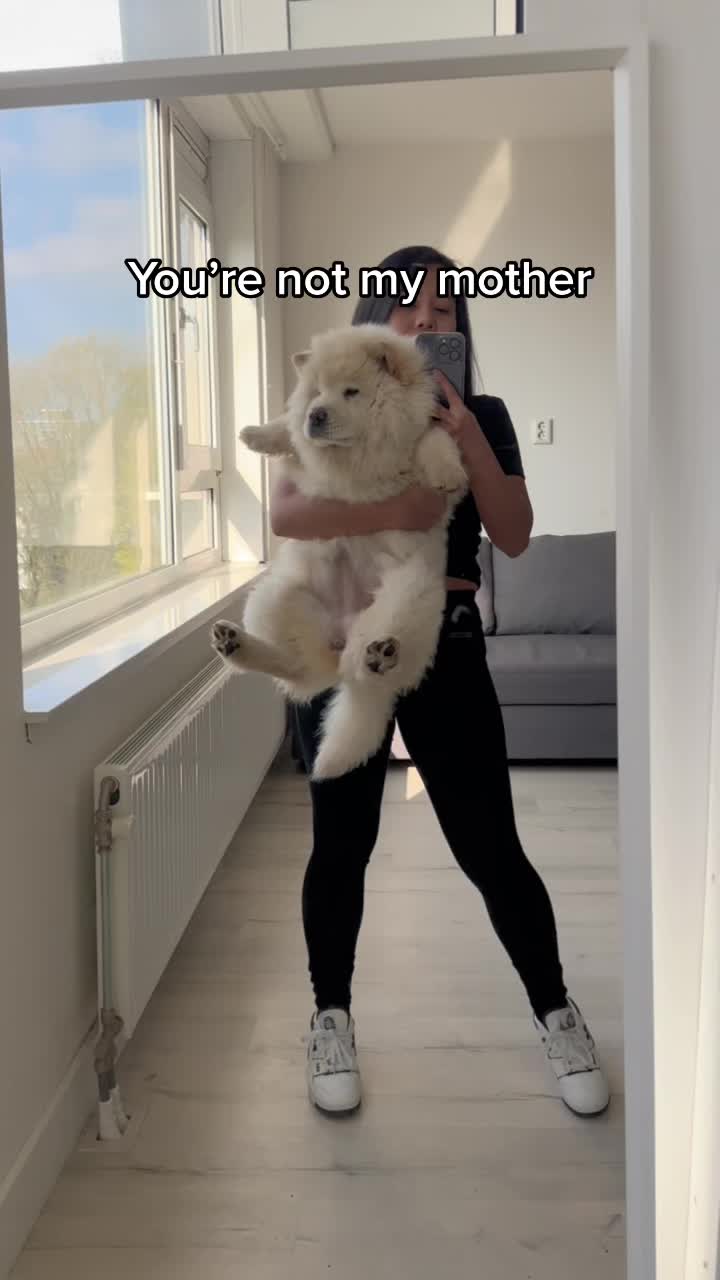 @Mochi