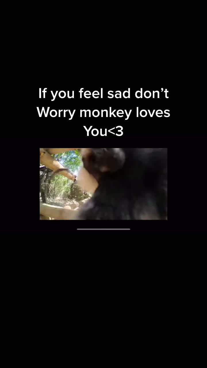 @sexc