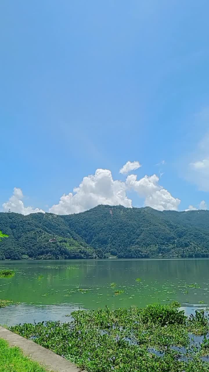 @kriti 🫀