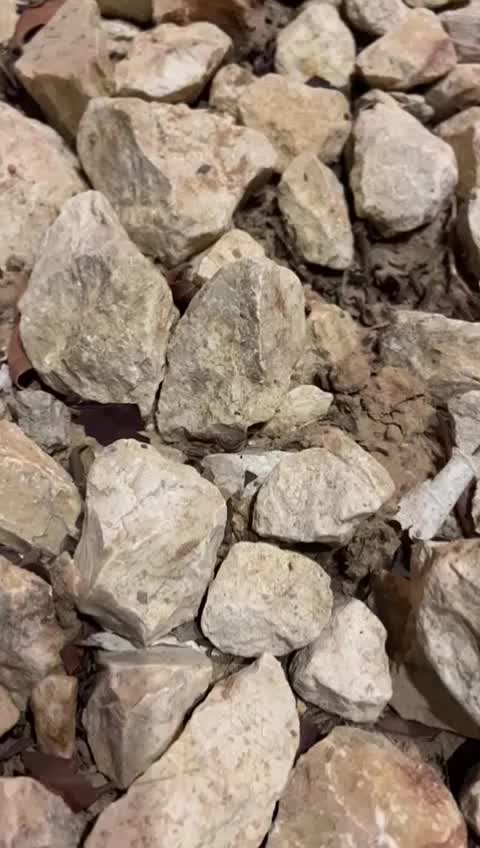 @راجپوت $ 786