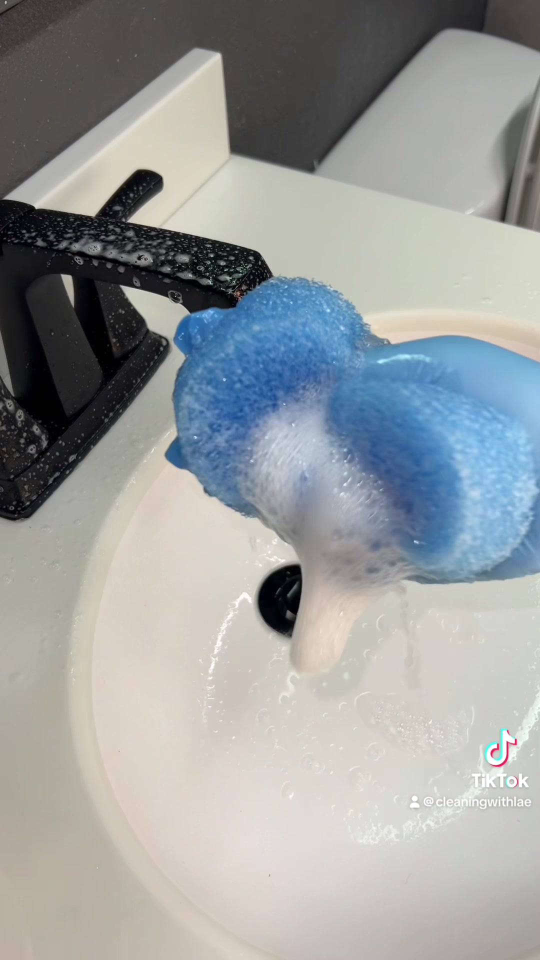 @cleaningwithlae