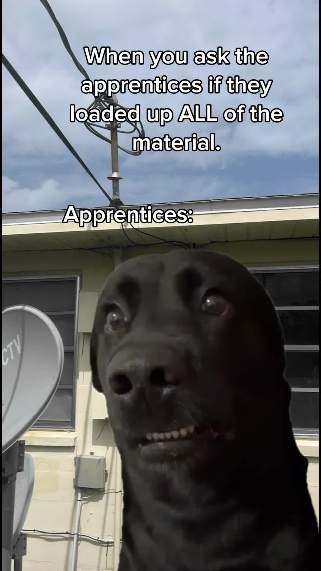 @ZappedDaddy