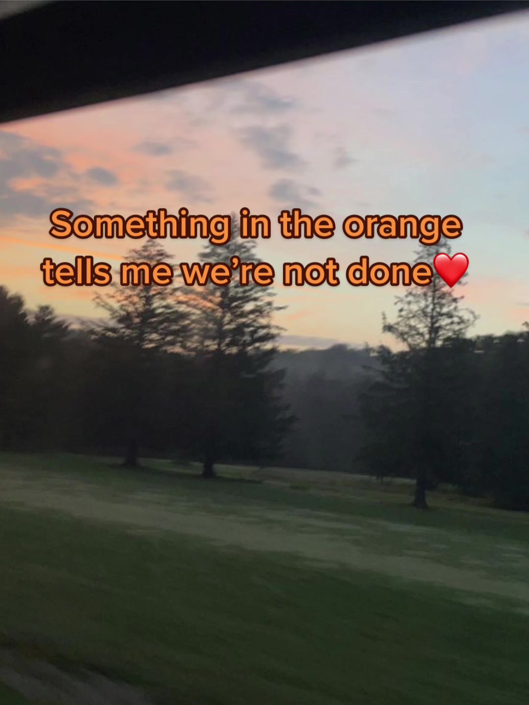 @dolphin_heart66