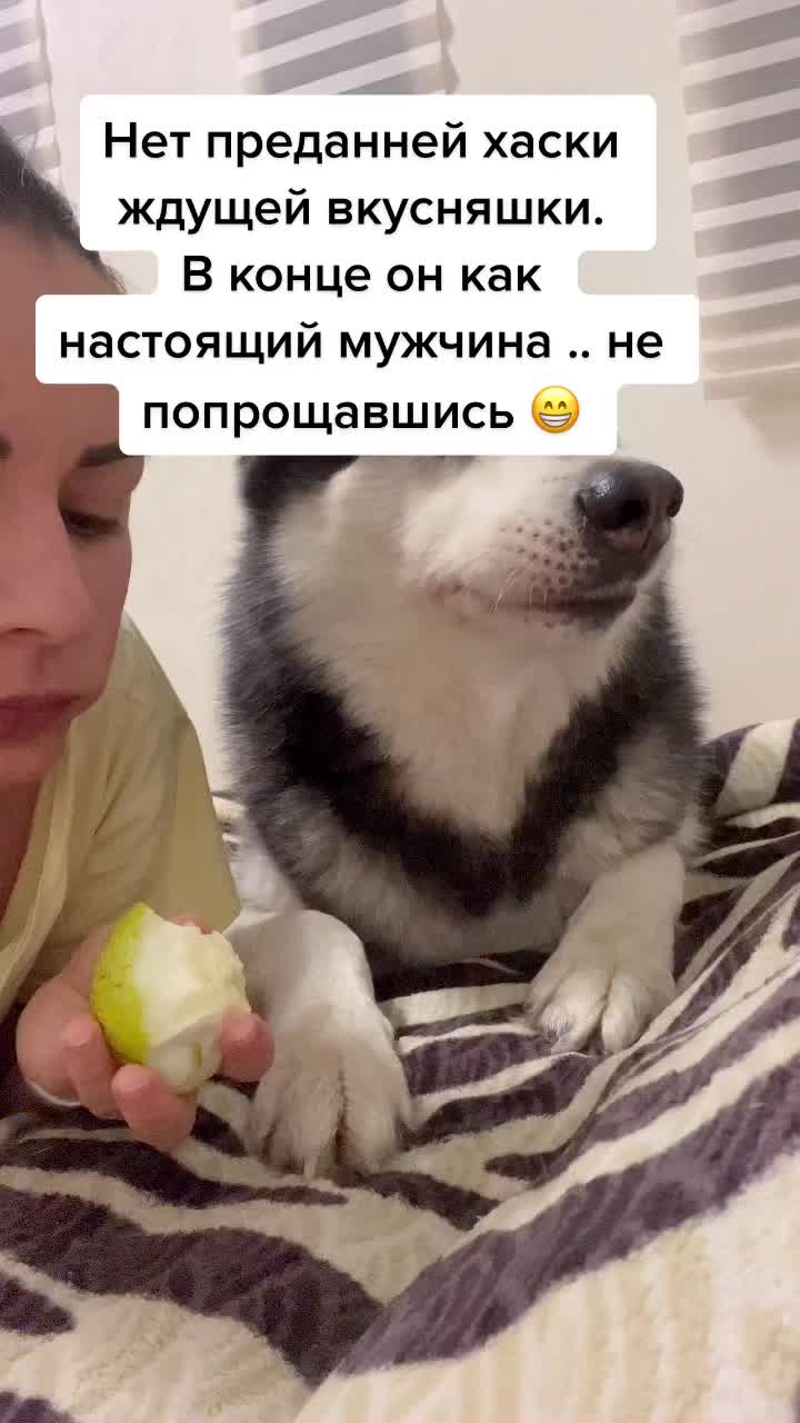 @белая сова