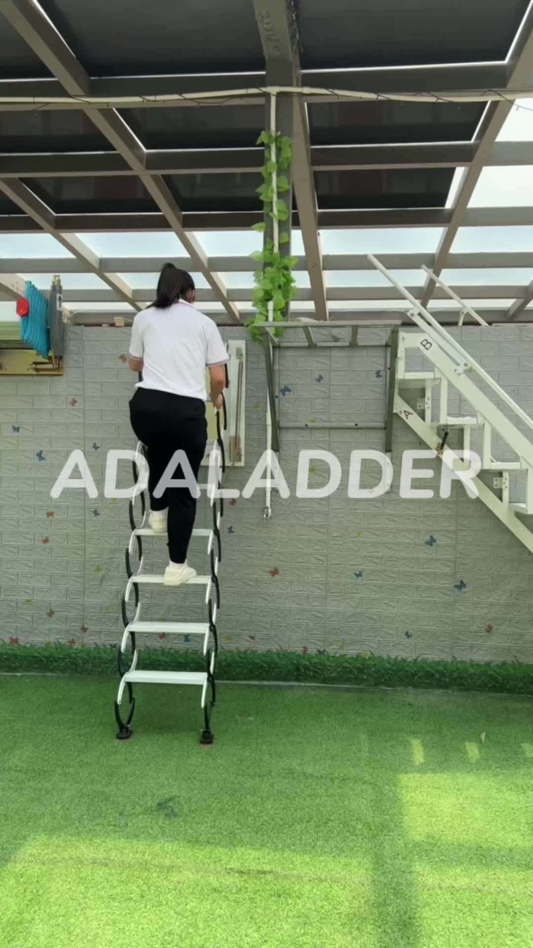 @Renee_attic ladder