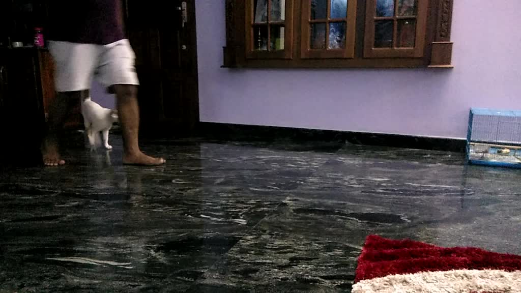 @Ahalya Santhosh