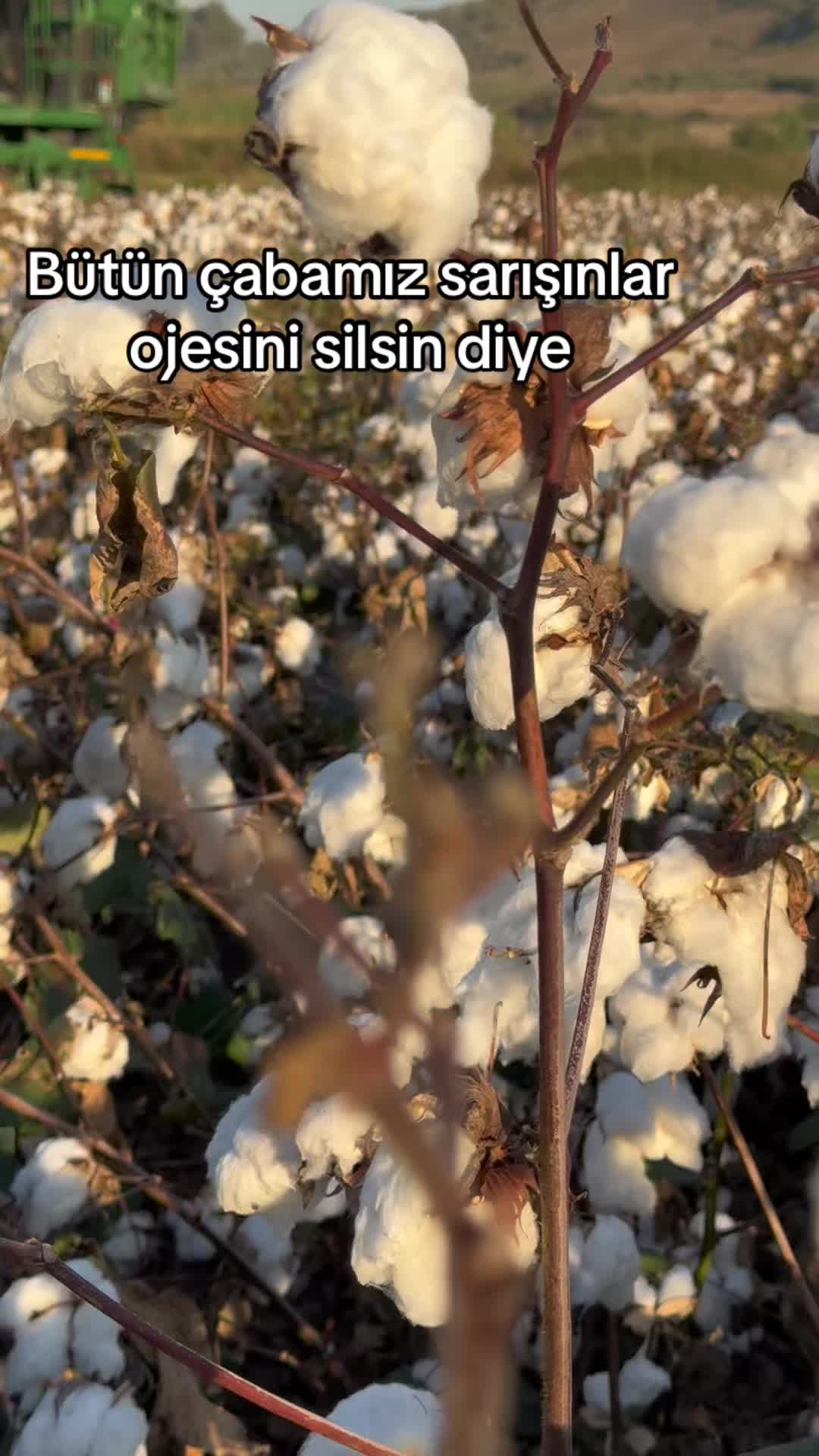 @E