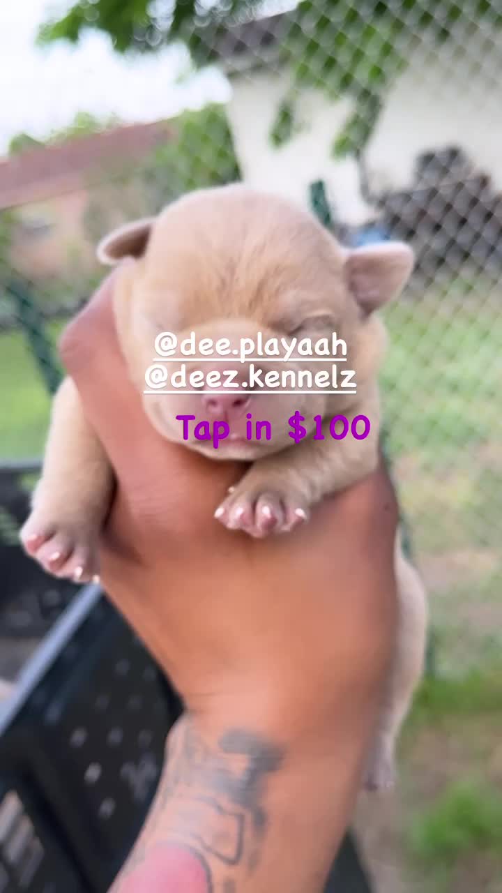 @Dee.Tha 🅿️