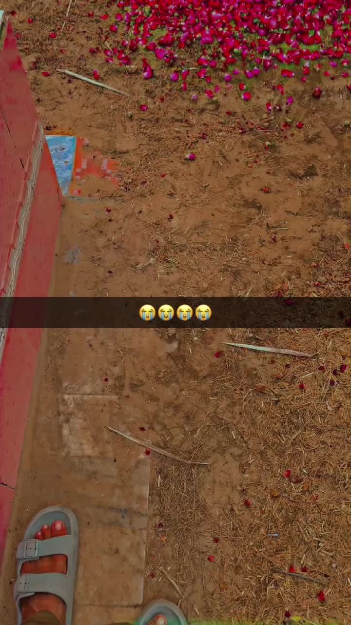 @ھادی ✨🌸