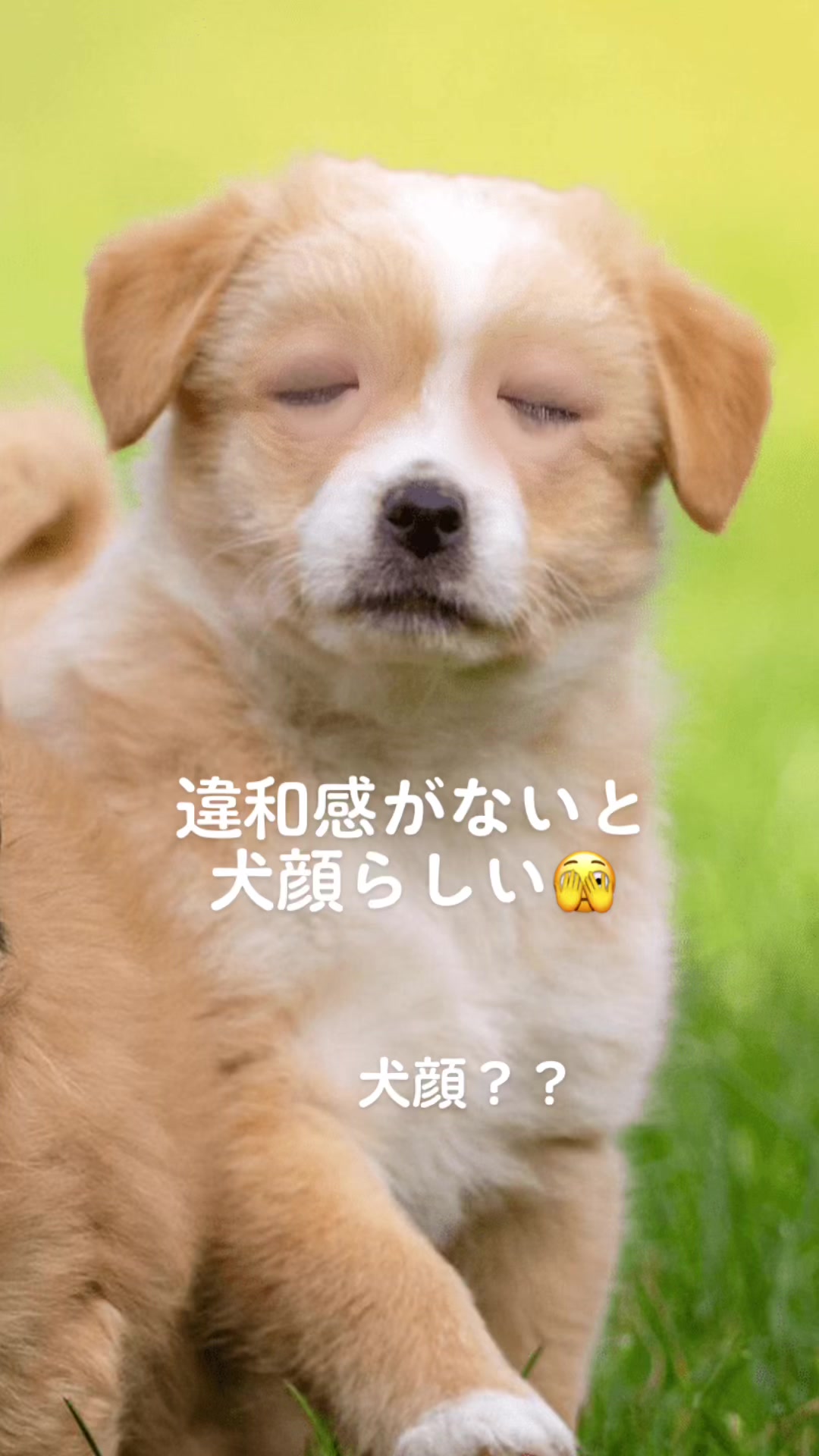 @ともな