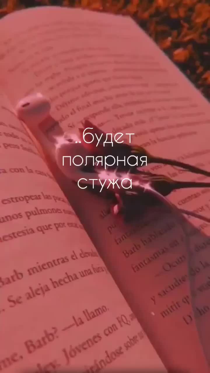 @Liya_S