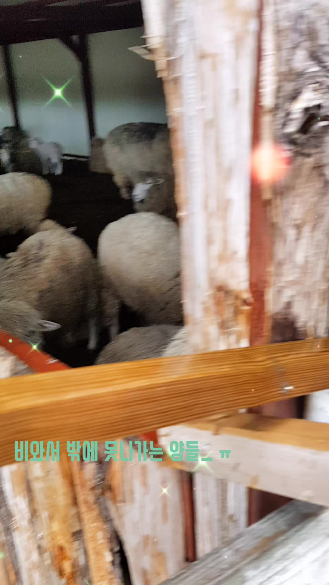 @멋쑤니