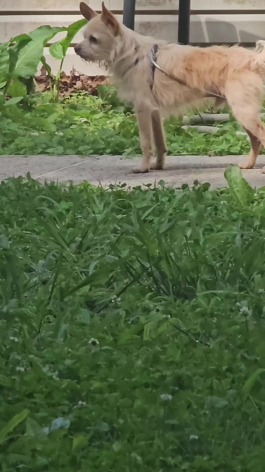 @ellieunderwood24