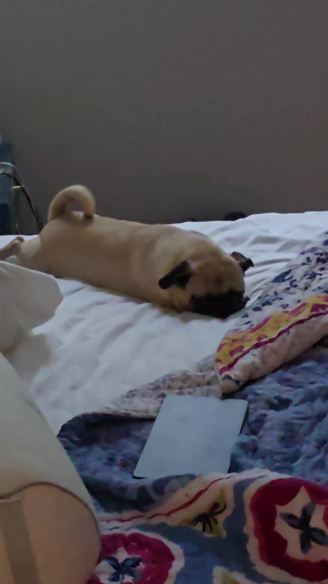 @Bah Humpug