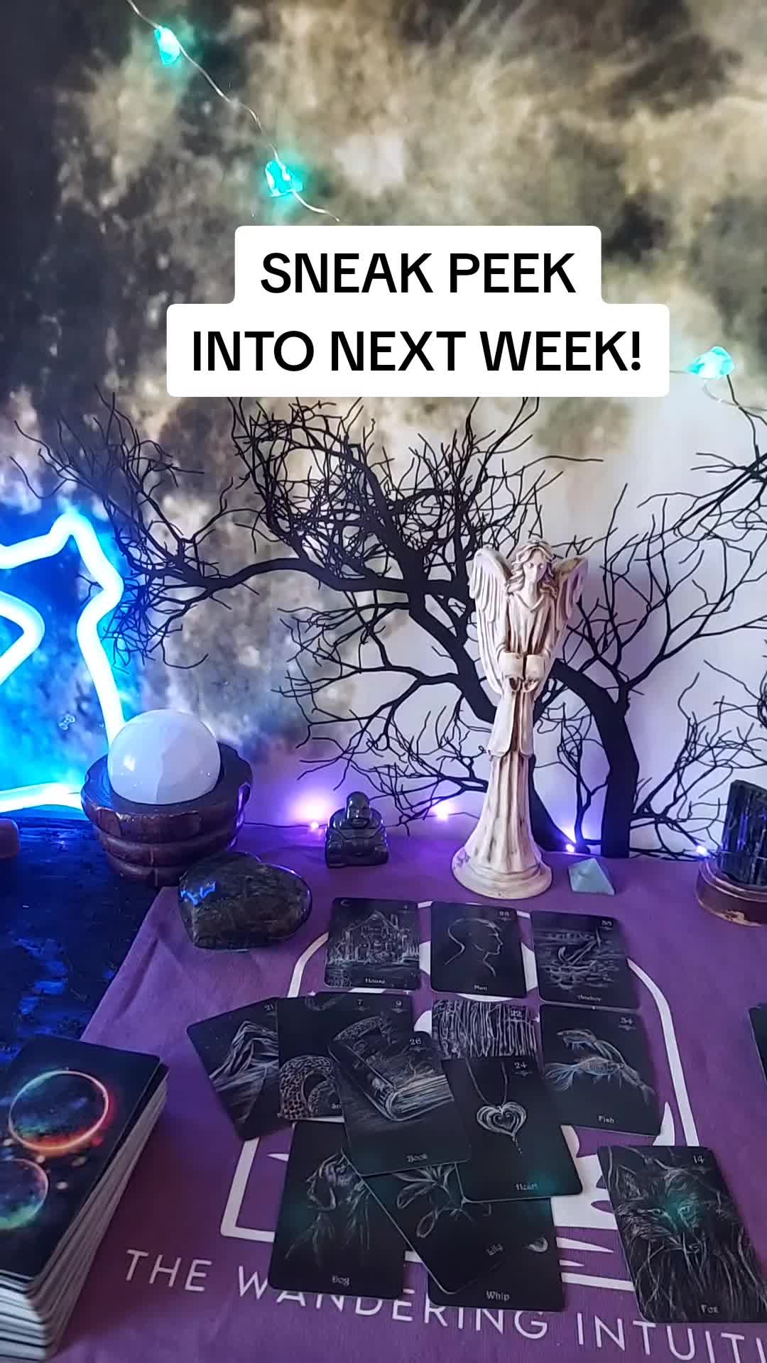 @Catz The Wandering Intuitive