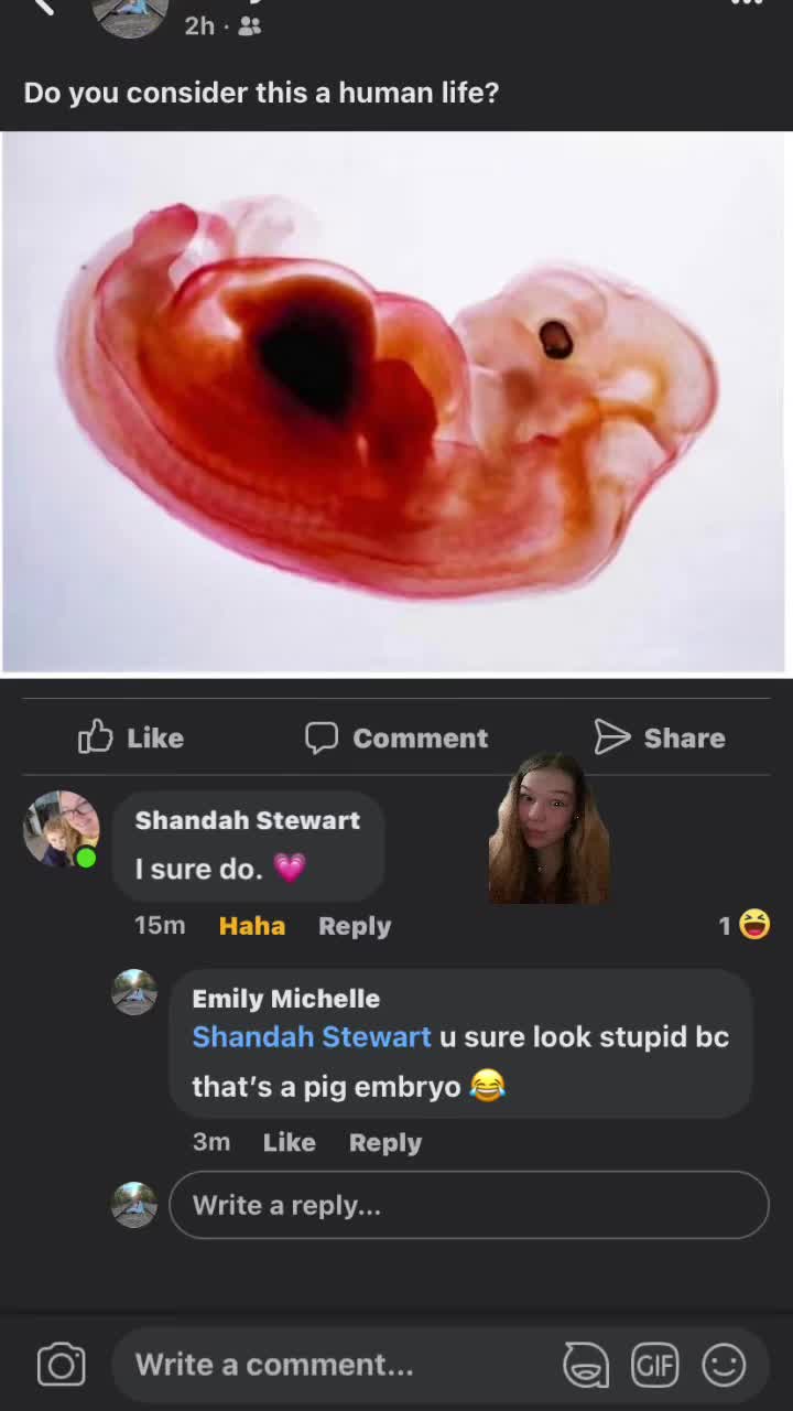 @emily._.bean