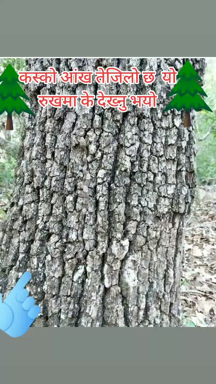 @SURESH. KHULAL99