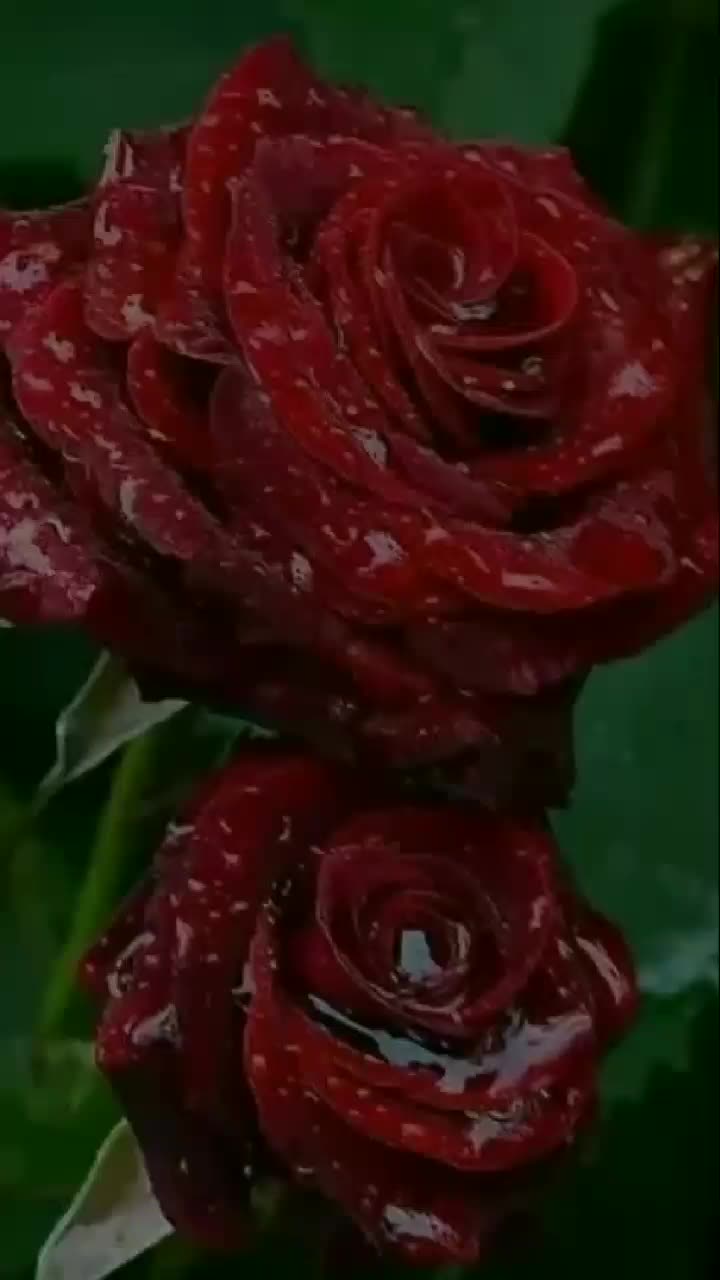 @Cuty_Manisha