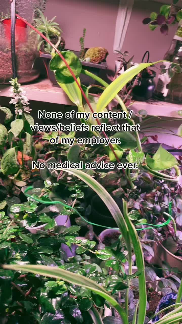 @Nat
