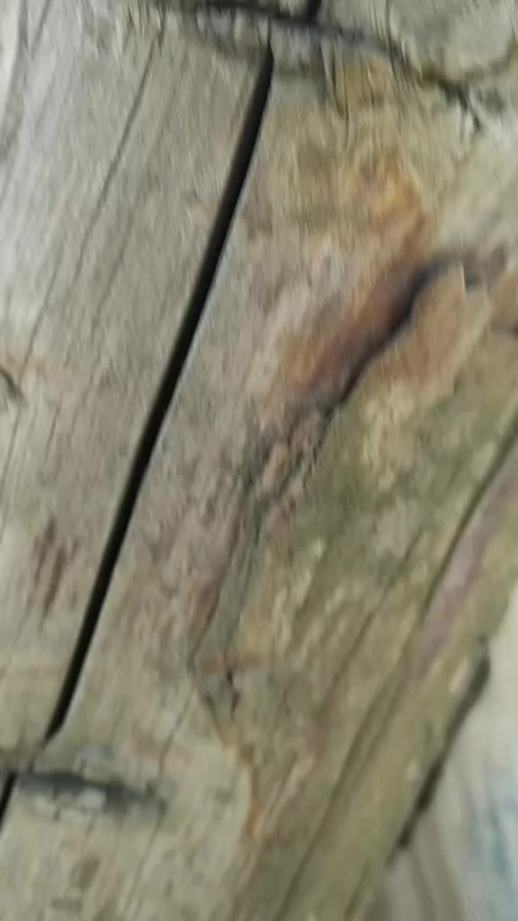 @xvolkodavx