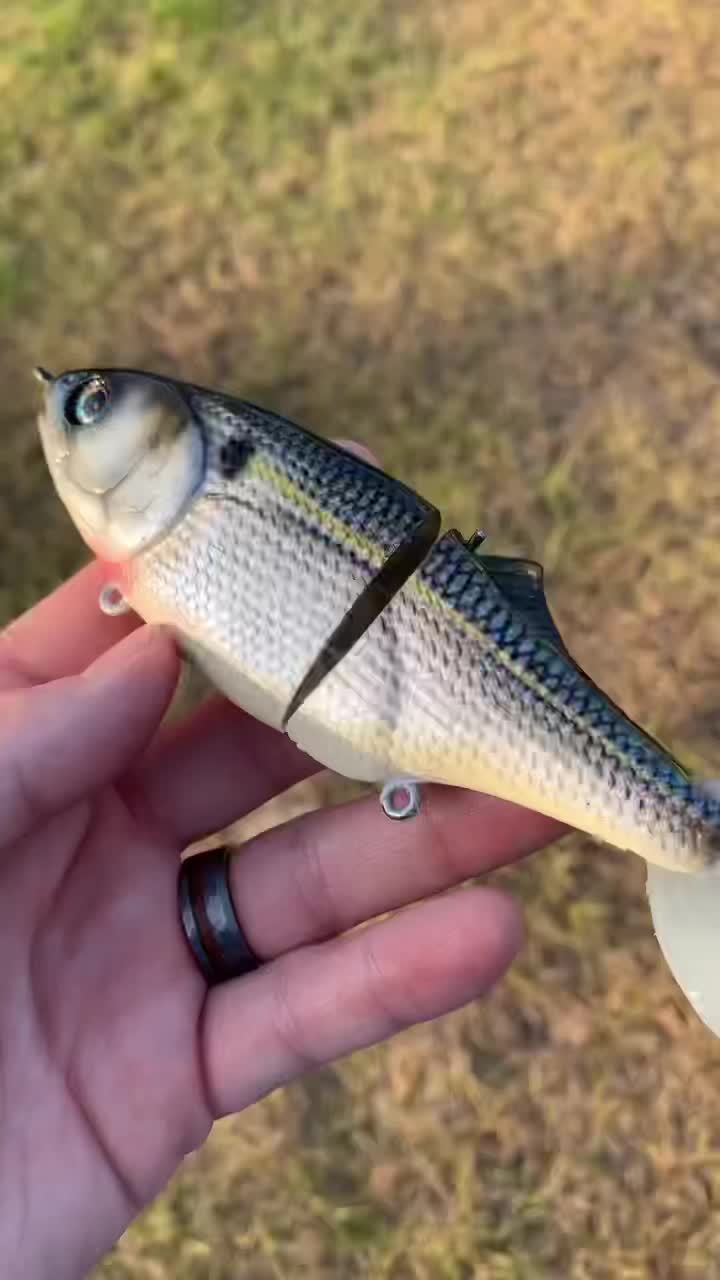 @grovesbaitco