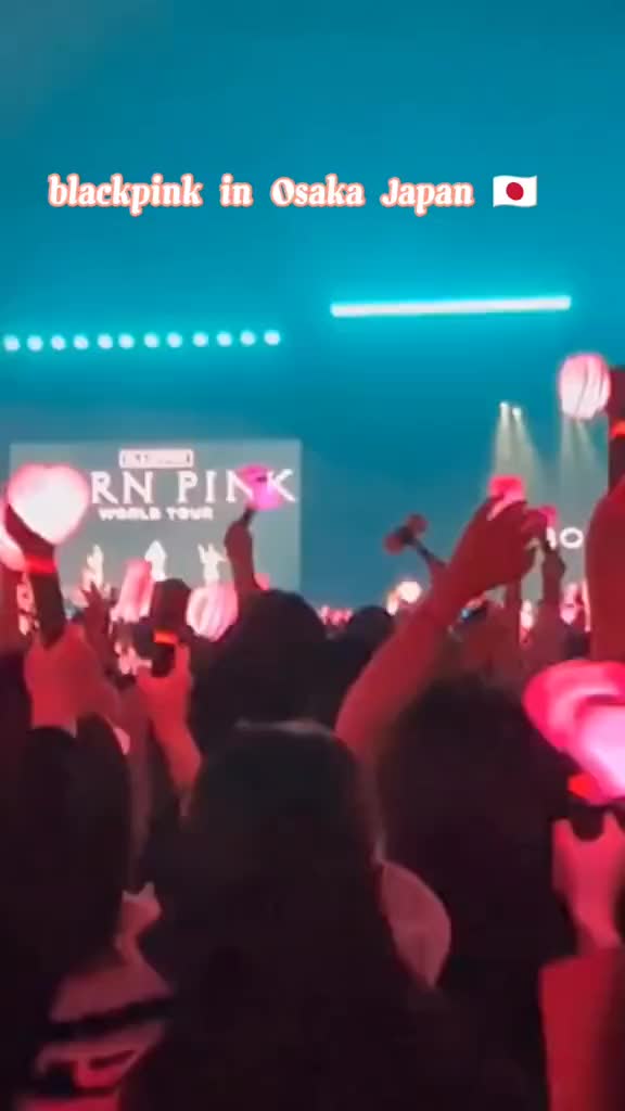 @lilies and blinks ♡🦋