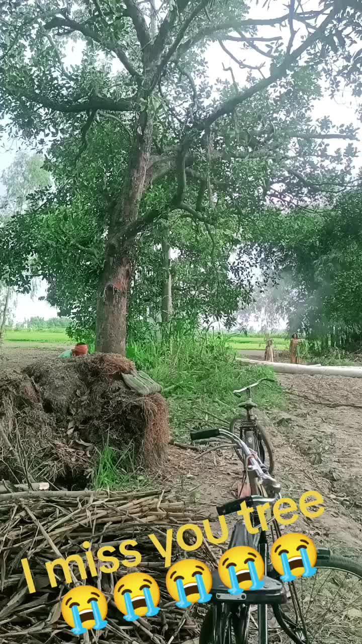 @samjhana chauhan