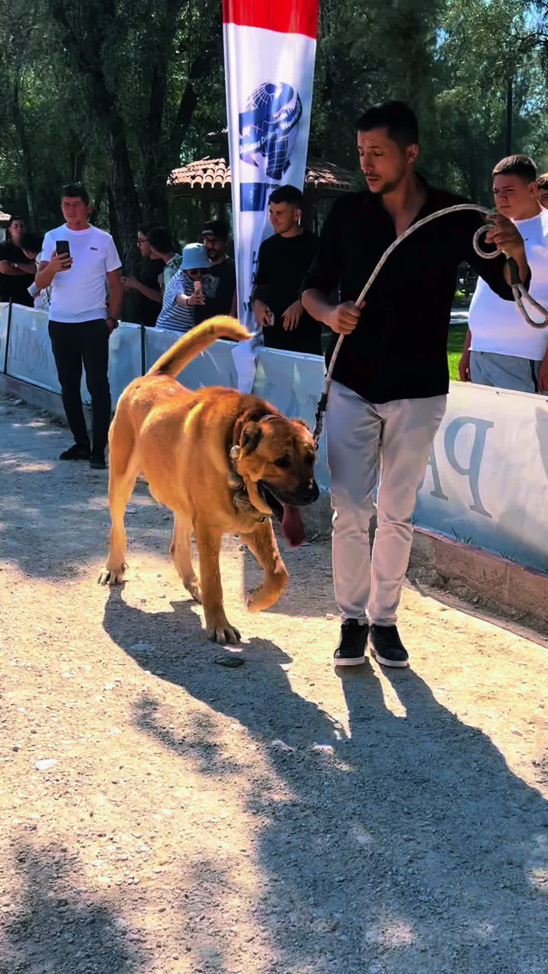 @Konyalı ziya