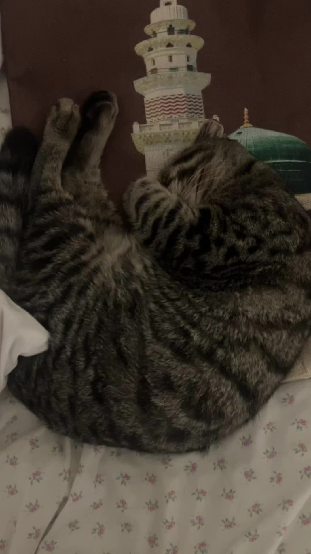 @ูููู๐
