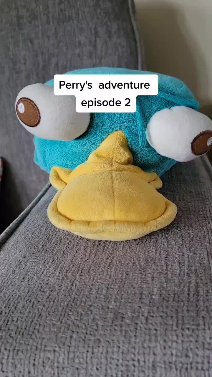 @ang3licmeowttv