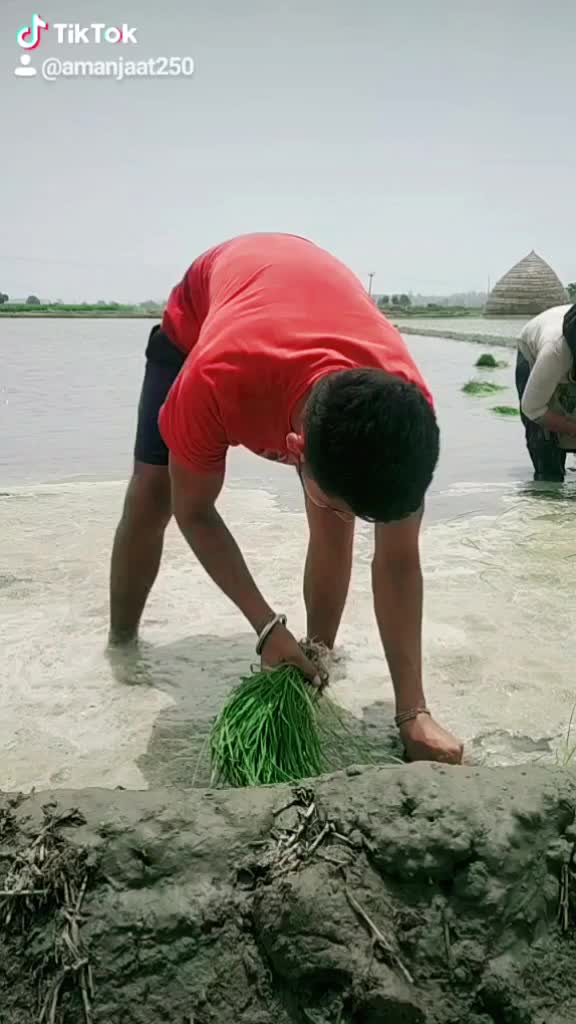 @माँ 😘 का लाडला 💪💪
