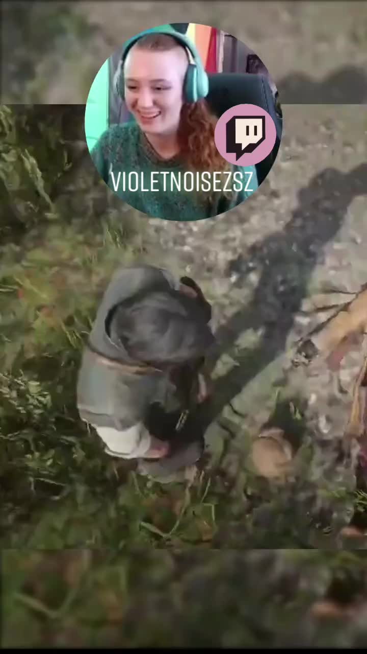 @djvioletnoise