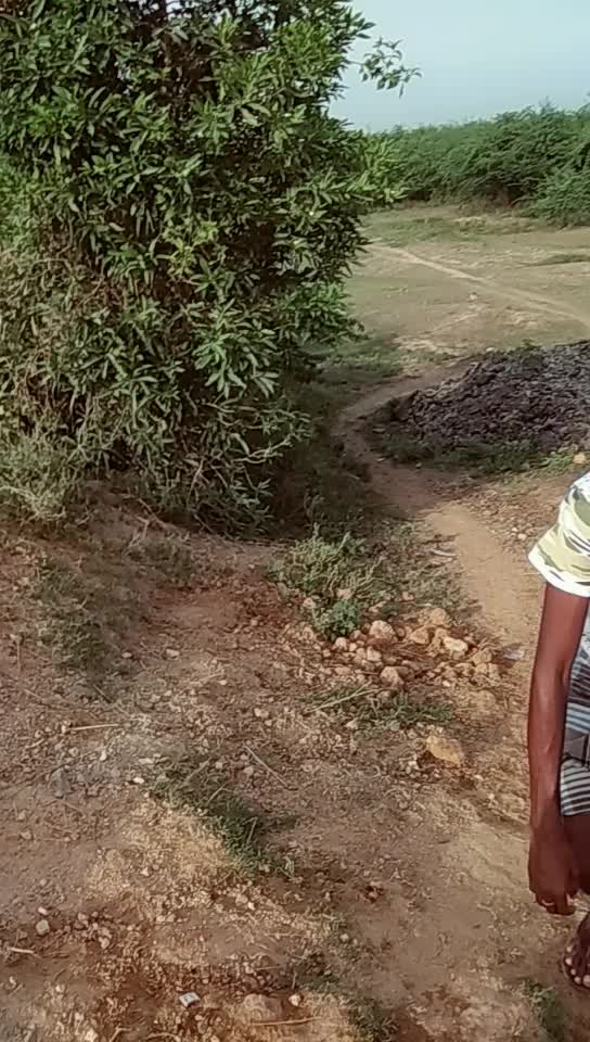@pachaipachai2637