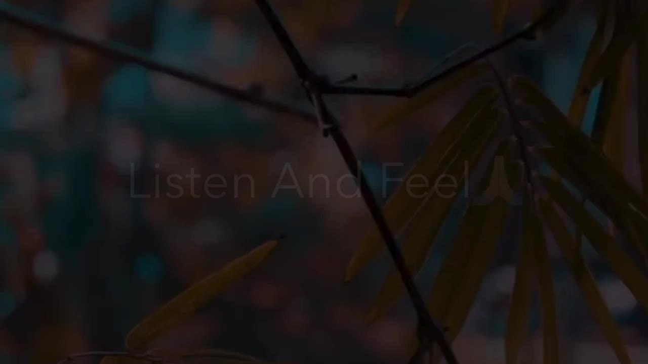 @Dj shashikant🎧