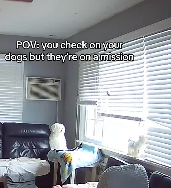 @PandaWaifu