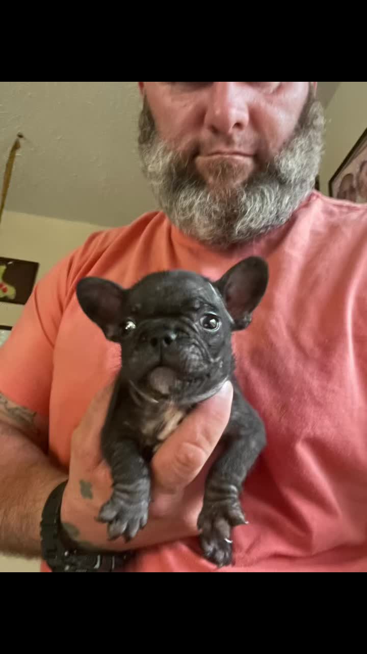 @smithbrothersbullies1